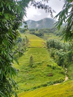 Zoo si homestay - Sapa - 7