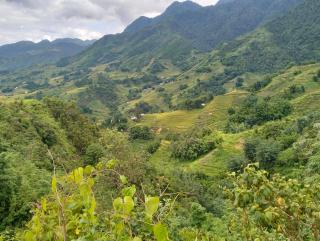 Zoo si homestay - Sapa - 8