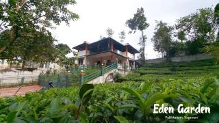 Eden Gardens Vagamon - Vagamon - 8