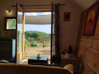 La Plaisance sur Ciel - Cordes-sur-Ciel - 3