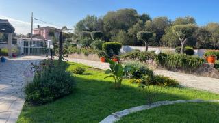 Sardegna - Villa Mirto & Flowers - Olbia - 2