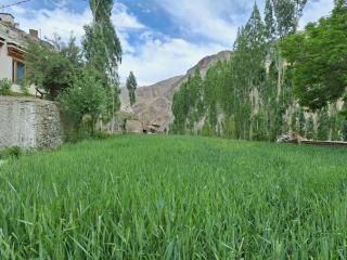 Shanglang Guest House Ladakh by LexStays - Lāmayūrū - 3