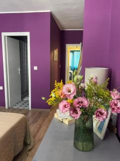 Glarus Apartment by City park - Varna - 8