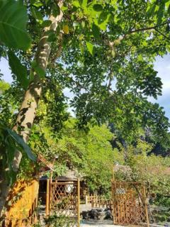 Hoalu Backpacker Homestay - Ninh Binh - 6