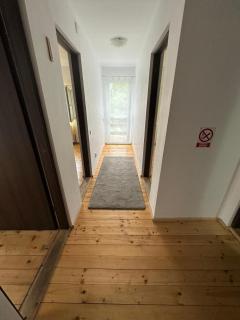 Cabana dintre brazi - Muntele Băişorii - 8