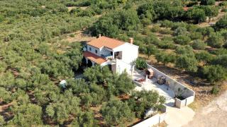 Active holiday in nature on agritourism! Make wine or olive oil!!! - 6