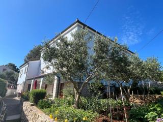Kuća Luce-Apartman br.1 - Mali Lošinj - 8