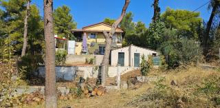 Villa Antonis - Dhílesi - 1