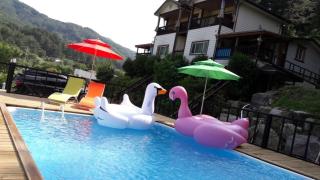 Gapyeong Yeoubyul Pension - Gapyeong - 1