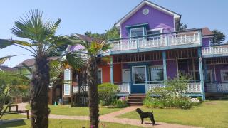 Gyeongju Novios Pets Friendly Pension - Gyeongju - 4