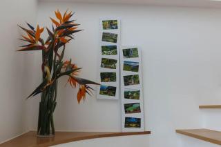 Ocean Garden House - Azorean Butler - Ribeira Seca do Porto - 6