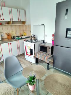 Apartament przy Parku Wodzickich - Poręba Wielka - 7