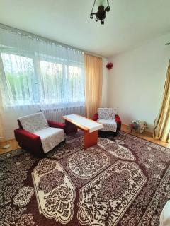 Apartament przy Parku Wodzickich - Poręba Wielka - 3
