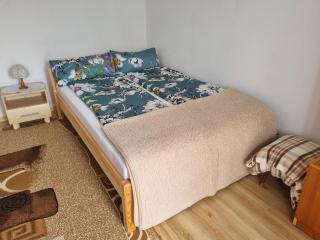 Apartament przy Parku Wodzickich - Poręba Wielka - 2
