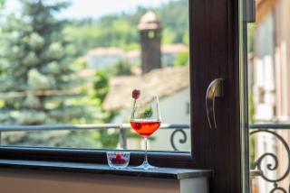 Enika Hotel - Trjavna - 1
