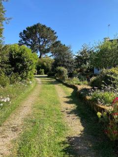 Un verger en bord de mer - Locmariaquer - 1