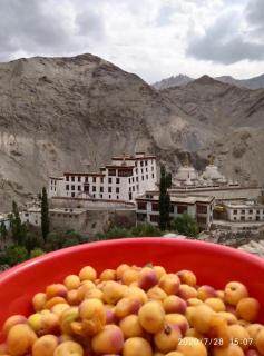 Green Land Guest House Ladakh by LexStays - Lāmayūrū - 0