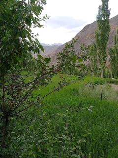 Green Land Guest House Ladakh by LexStays - Lāmayūrū - 7