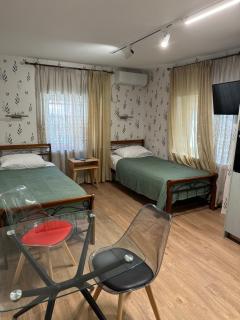Marjanishvili wings apartment - Tbilisi - 8