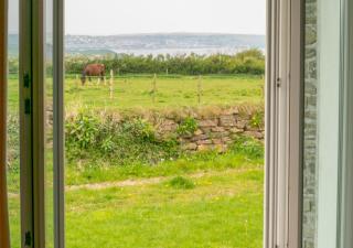 Pengliddon No.5 - Wadebridge - 5