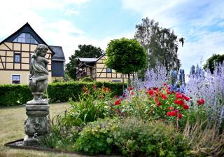 Elferhof Ferienwohnungen - Mohlsdorf - 7