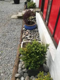 Stone Wall Cottage - Castlewellan - 6