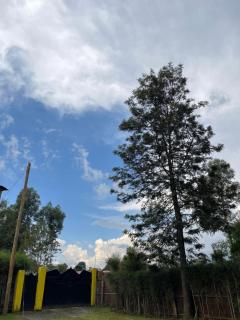 Airport View Homes - Eldoret - 5