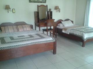 Indraprastha Ubud Home Stay - Ubud - 2