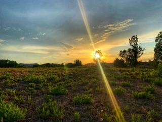 Chiaraluce Country House - Massignano - 8
