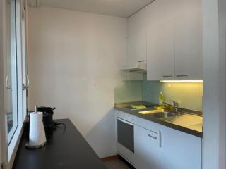 Amazing studio in the city centre - Art 17 - Zurigo - 3