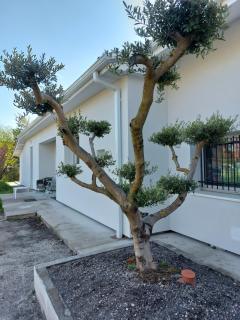 La maison du bonheur - 3