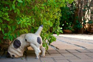Khayamanzi Guesthouse - Hartbeespoort - 1