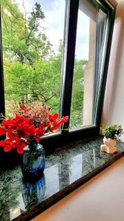 Cosy mini apartment- city centre - Katowice - 1