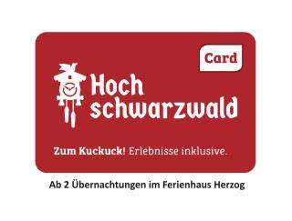 Ferienhaus Haus Herzog - Titisee-Neustadt - 8