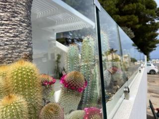 Villa Ippolita - Trilocale con giardino - San Vito Lo Capo - 8