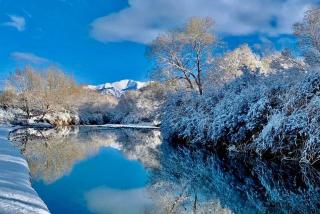 Peace Cottages Pangong Ladakh by LexStays - Merak - 5