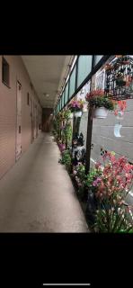 新宿庭院の屋-Shinjuku Garden Home -28 square meters king size bed garden room105 - Tokyo - 2