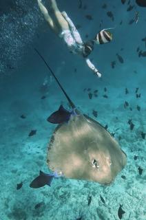 Marmora Maldives-All-inclusive guesthouse with an excursion everyday - Huraa - 4