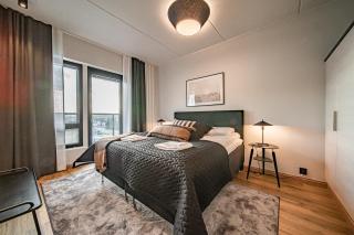 Ski Chalet C27 Levi Center incl 2 ski passes by Aavalevi - 9