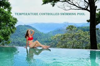 Elephant Passage - Munnar - 9