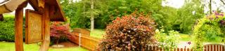 Ferienwohnung im Wald mit Kamin - Bad Harzburg - 9
