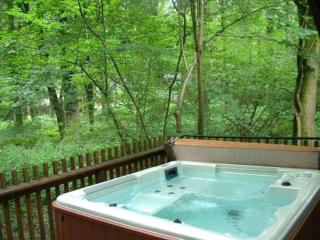The Dream Bungalows - 4