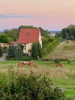 Ruhe und Erholung 1h von Berlin - Lunow - 6