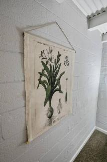 Fort Bragg Bunker - Fayetteville - 9