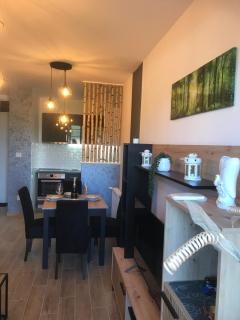 Apartman Sanja - Banja Koviljača - 0