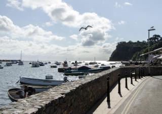 St. Christophers Cottage - Shaldon - 8