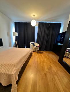 Magnifique studio confort - Geneva - 3