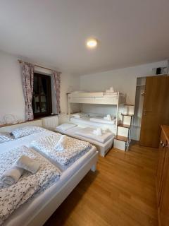 Pritlični apartma Hribovc z atrijem - Kranjska Gora - 2
