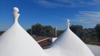 Trullo Teresa - Ceglie Messapica - 7
