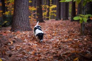 Hot Tub Time Capsule with Waterbed & Jukebox - 5